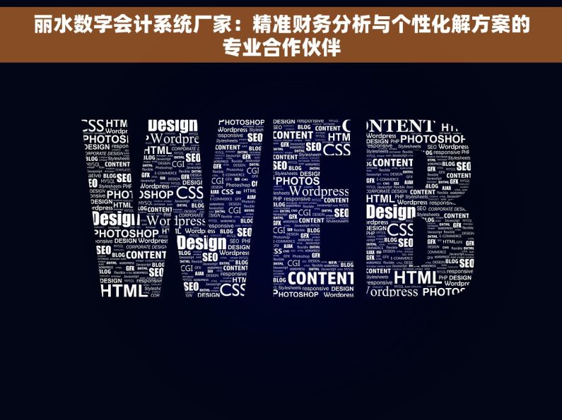 丽水数字会计系统厂家：精准财务分析与个性化解方案的专业合作伙伴