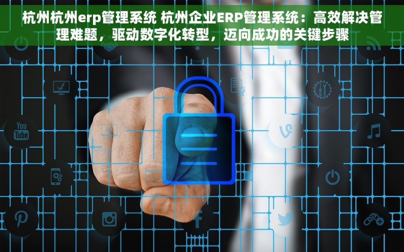杭州杭州erp管理系统 杭州企业ERP管理系统：高效解决管理难题，驱动数字化转型，迈向成功的关键步骤