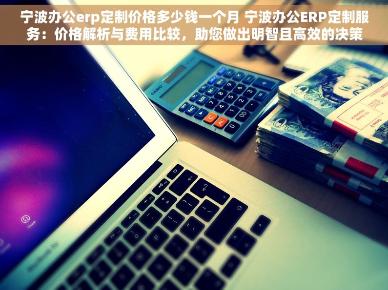 宁波办公erp定制价格多少钱一个月 宁波办公ERP定制服务：价格解析与费用比较，助您做出明智且高效的决策