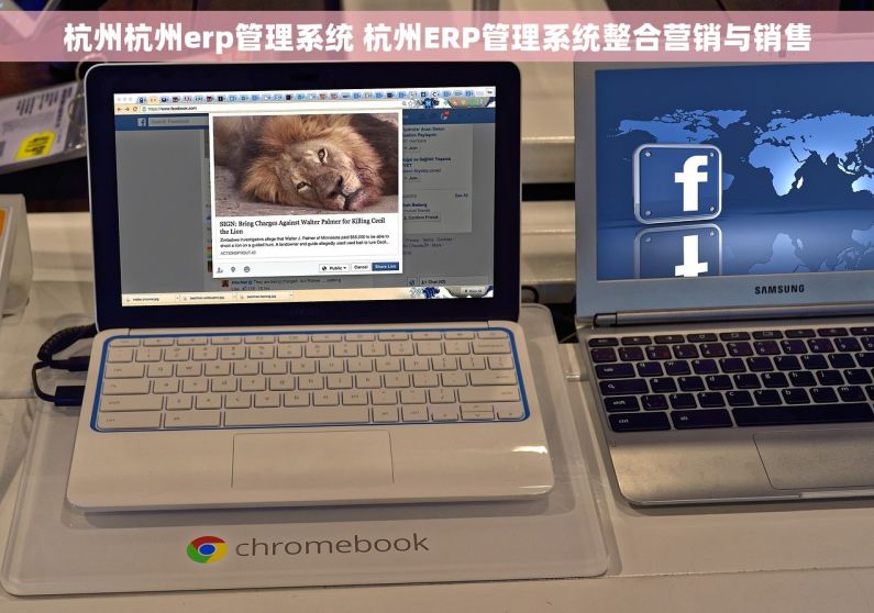 杭州杭州erp管理系统 杭州ERP管理系统整合营销与销售