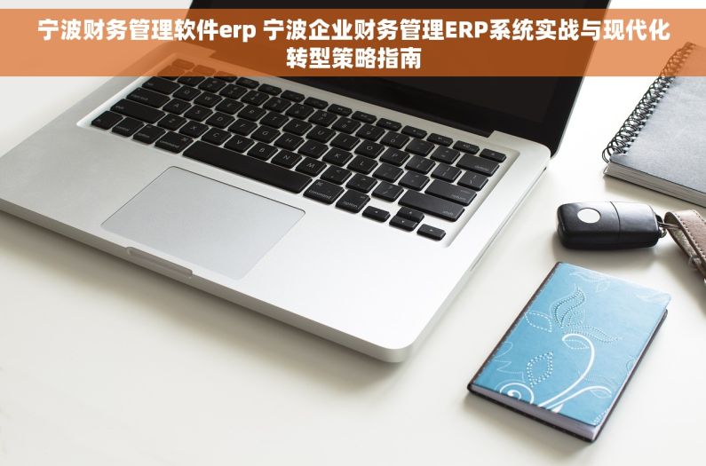 宁波财务管理软件erp 宁波企业财务管理ERP系统实战与现代化转型策略指南