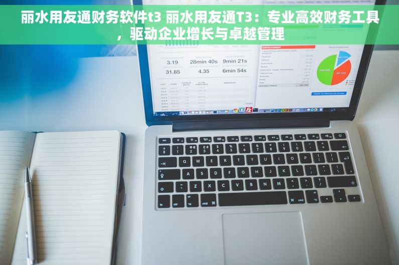 丽水用友通财务软件t3 丽水用友通T3：专业高效财务工具，驱动企业增长与卓越管理