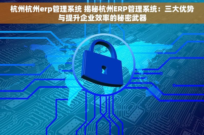 杭州杭州erp管理系统 揭秘杭州ERP管理系统：三大优势与提升企业效率的秘密武器