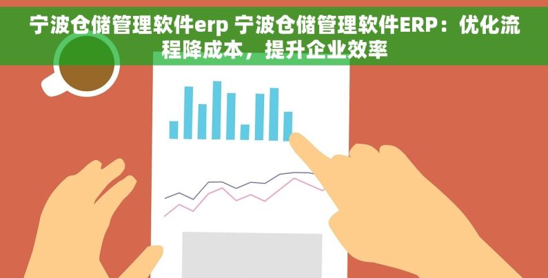 宁波仓储管理软件erp 宁波仓储管理软件ERP：优化流程降成本，提升企业效率