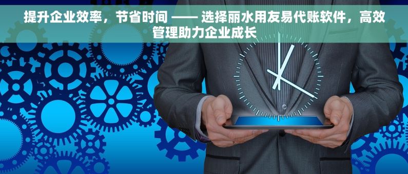 提升企业效率，节省时间 —— 选择丽水用友易代账软件，高效管理助力企业成长