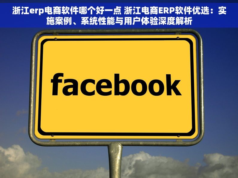 浙江erp电商软件哪个好一点 浙江电商ERP软件优选：实施案例、系统性能与用户体验深度解析