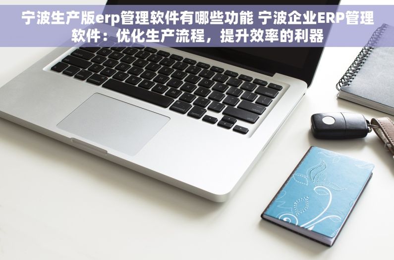 宁波生产版erp管理软件有哪些功能 宁波企业ERP管理软件：优化生产流程，提升效率的利器