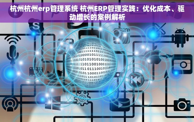 杭州杭州erp管理系统 杭州ERP管理实践：优化成本、驱动增长的案例解析