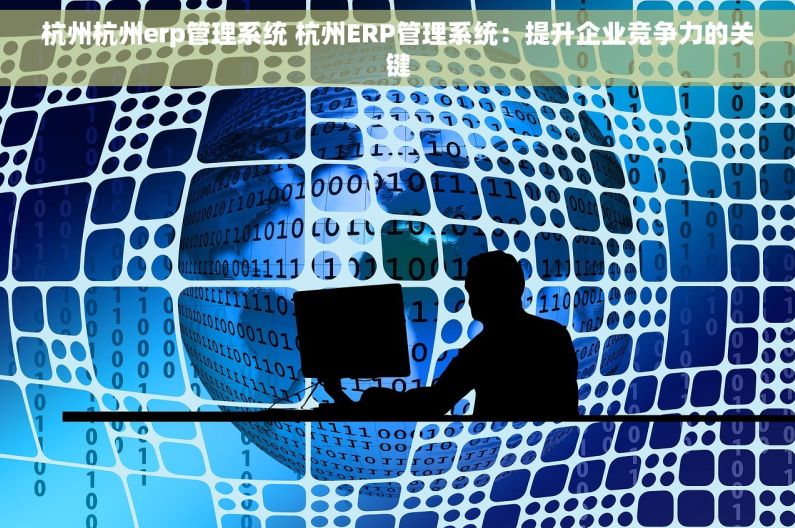 杭州杭州erp管理系统 杭州ERP管理系统：提升企业竞争力的关键