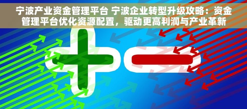 宁波产业资金管理平台 宁波企业转型升级攻略：资金管理平台优化资源配置，驱动更高利润与产业革新