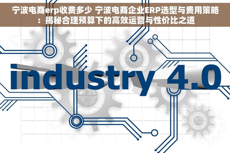 宁波电商erp收费多少 宁波电商企业ERP选型与费用策略：揭秘合理预算下的高效运营与性价比之道