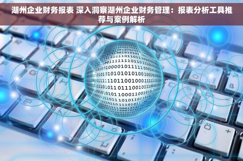 湖州企业财务报表 深入洞察湖州企业财务管理：报表分析工具推荐与案例解析