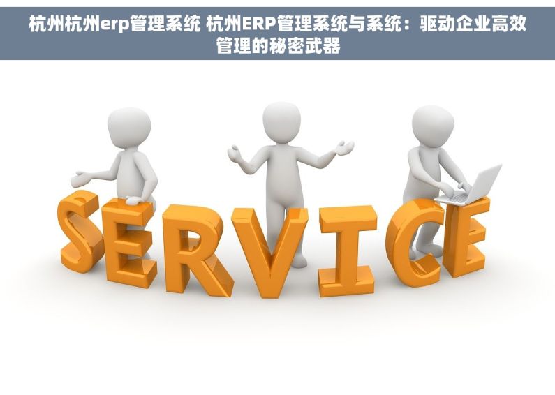 杭州杭州erp管理系统 杭州ERP管理系统与系统：驱动企业高效管理的秘密武器