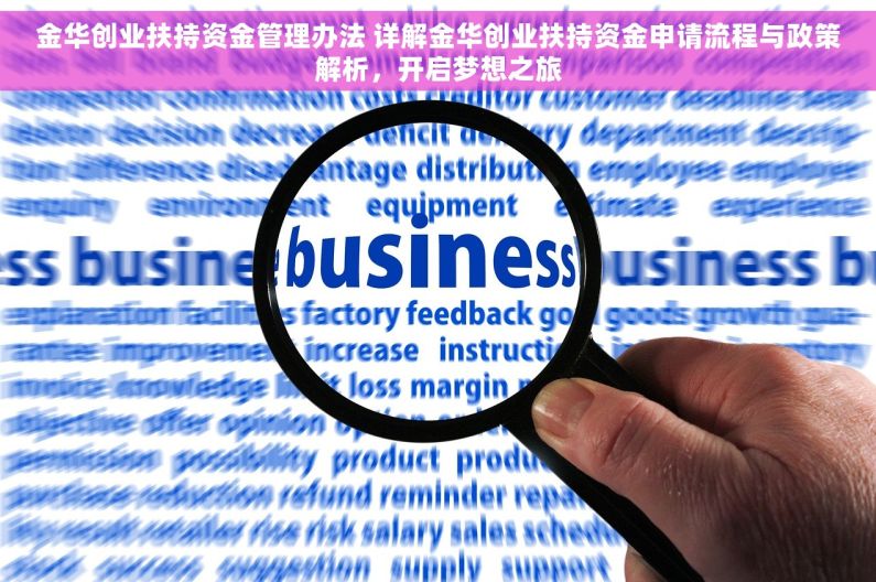 金华创业扶持资金管理办法 详解金华创业扶持资金申请流程与政策解析，开启梦想之旅