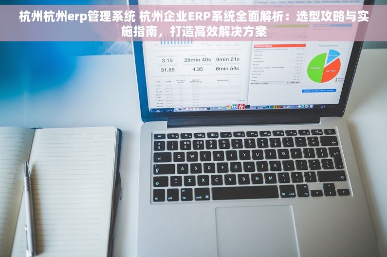 杭州杭州erp管理系统 杭州企业ERP系统全面解析：选型攻略与实施指南，打造高效解决方案
