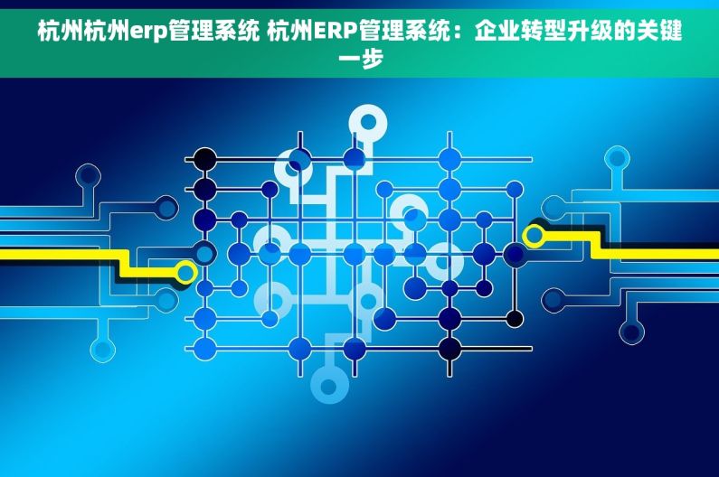 杭州杭州erp管理系统 杭州ERP管理系统：企业转型升级的关键一步