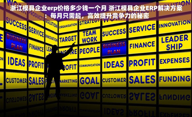 浙江模具企业erp价格多少钱一个月 浙江模具企业ERP解决方案：每月只需起，高效提升竞争力的秘密