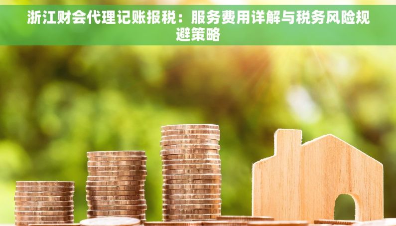 浙江财会代理记账报税：服务费用详解与税务风险规避策略