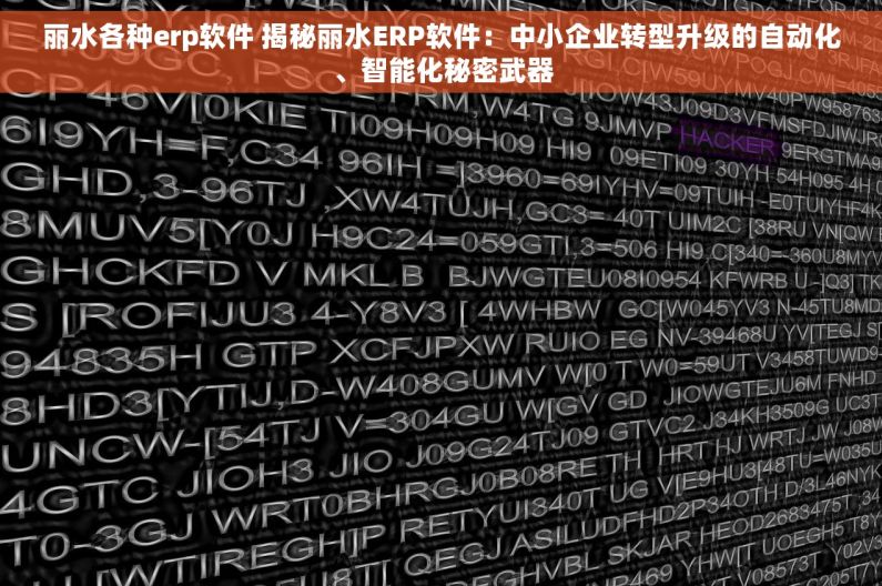 丽水各种erp软件 揭秘丽水ERP软件：中小企业转型升级的自动化、智能化秘密武器