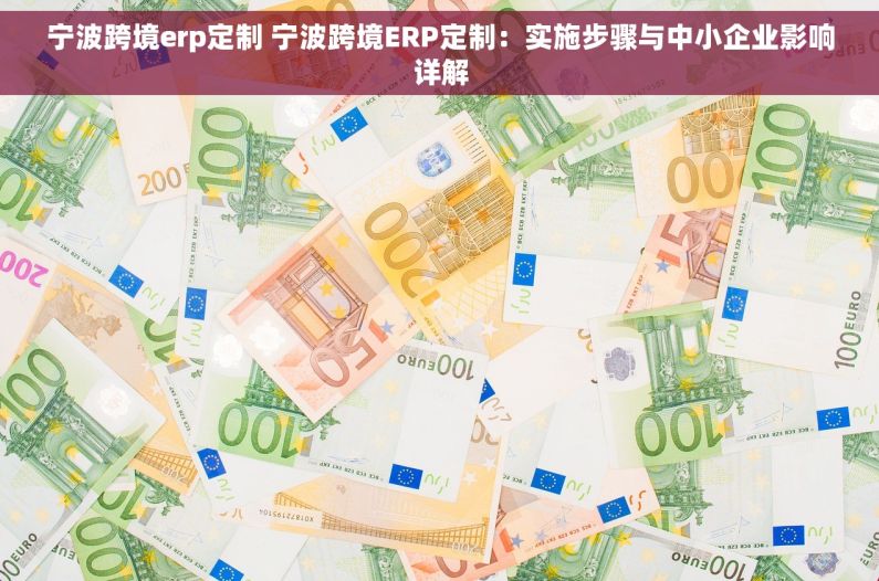 宁波跨境erp定制 宁波跨境ERP定制：实施步骤与中小企业影响详解