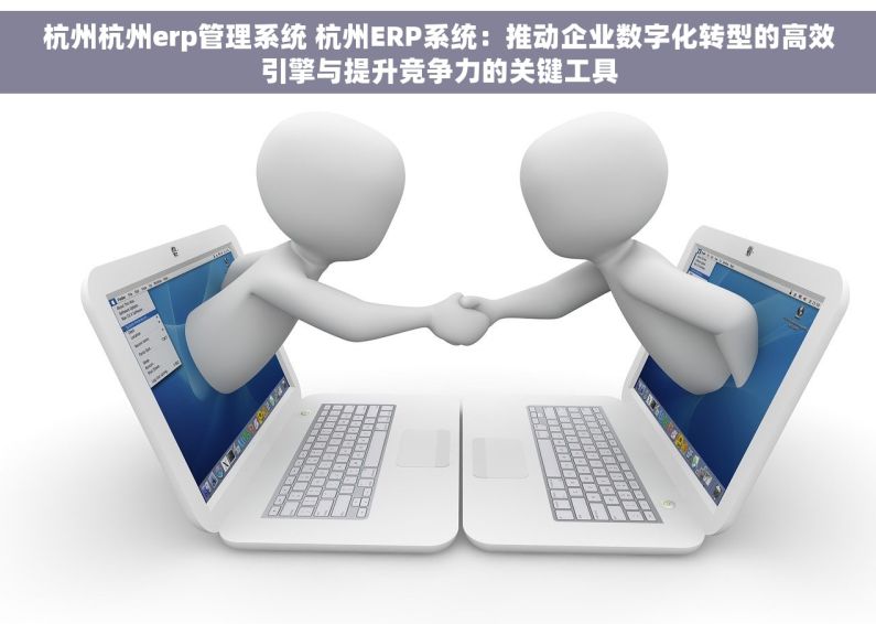 杭州杭州erp管理系统 杭州ERP系统：推动企业数字化转型的高效引擎与提升竞争力的关键工具