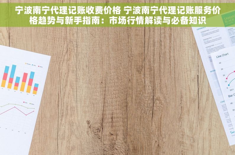 宁波南宁代理记账收费价格 宁波南宁代理记账服务价格趋势与新手指南：市场行情解读与必备知识
