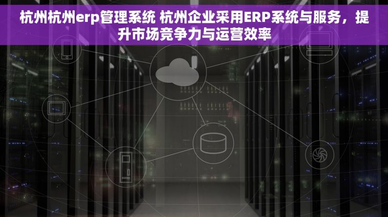 杭州杭州erp管理系统 杭州企业采用ERP系统与服务，提升市场竞争力与运营效率