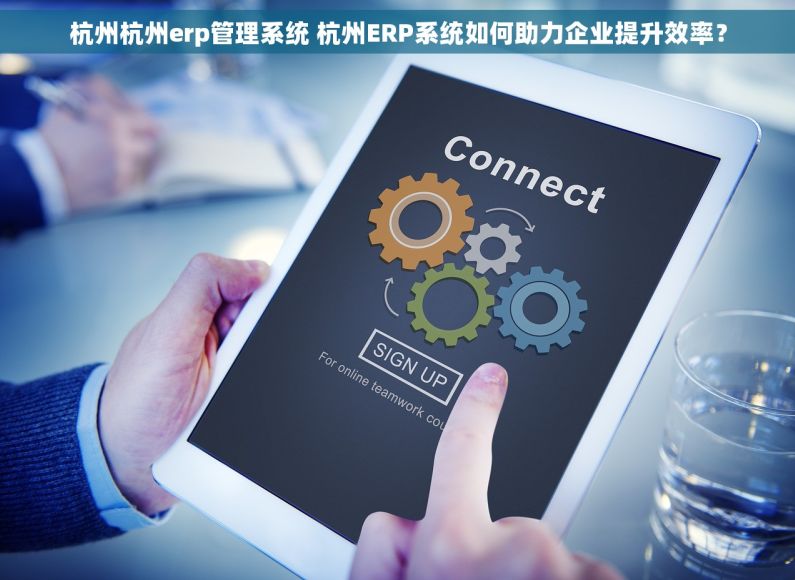 杭州杭州erp管理系统 杭州ERP系统如何助力企业提升效率？
