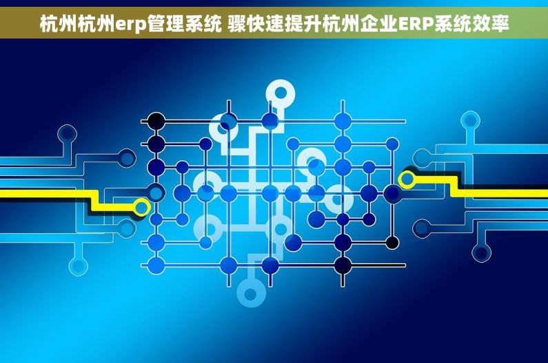 杭州杭州erp管理系统 骤快速提升杭州企业ERP系统效率