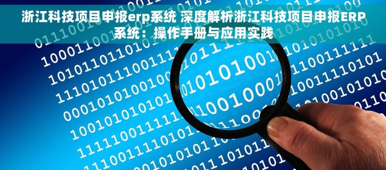浙江科技项目申报erp系统 深度解析浙江科技项目申报ERP系统：操作手册与应用实践