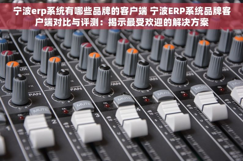 宁波erp系统有哪些品牌的客户端 宁波ERP系统品牌客户端对比与评测：揭示最受欢迎的解决方案