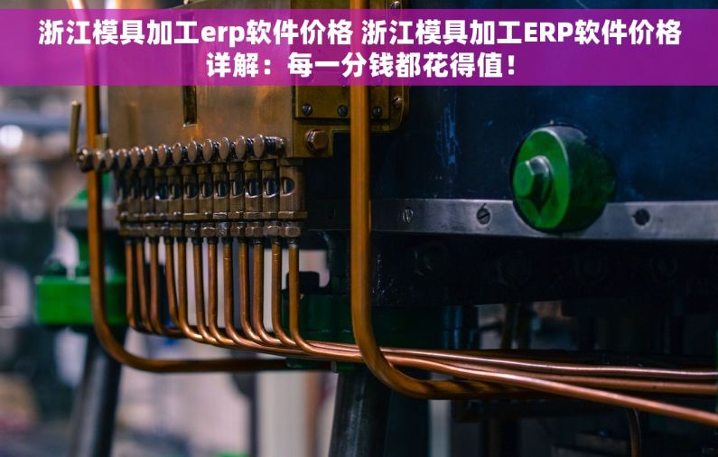 浙江模具加工erp软件价格 浙江模具加工ERP软件价格详解：每一分钱都花得值！
