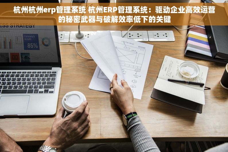杭州杭州erp管理系统 杭州ERP管理系统：驱动企业高效运营的秘密武器与破解效率低下的关键