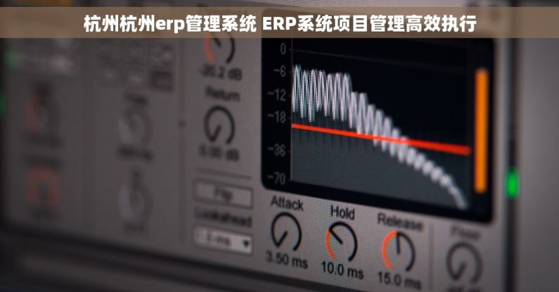 杭州杭州erp管理系统 ERP系统项目管理高效执行