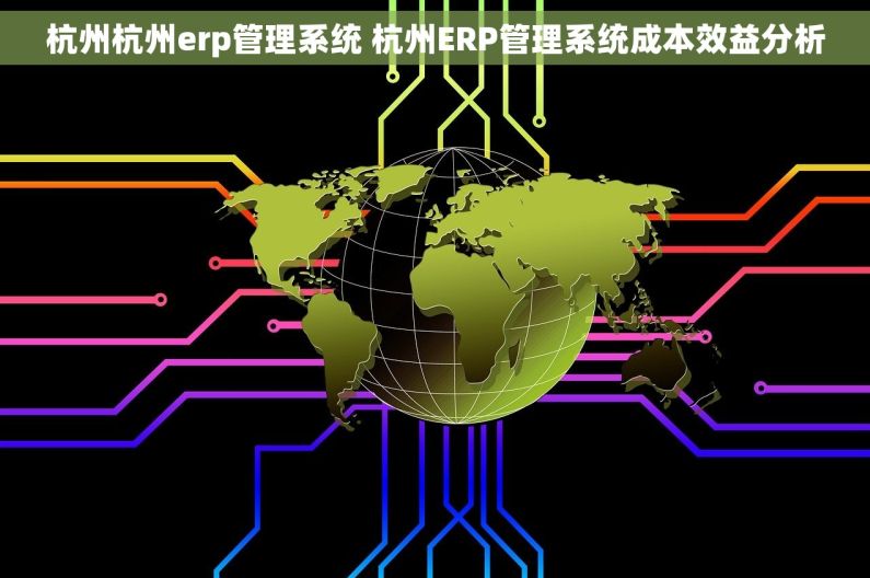 杭州杭州erp管理系统 杭州ERP管理系统成本效益分析