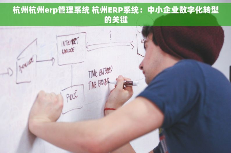 杭州杭州erp管理系统 杭州ERP系统：中小企业数字化转型的关键