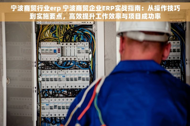 宁波商贸行业erp 宁波商贸企业ERP实战指南：从操作技巧到实施要点，高效提升工作效率与项目成功率
