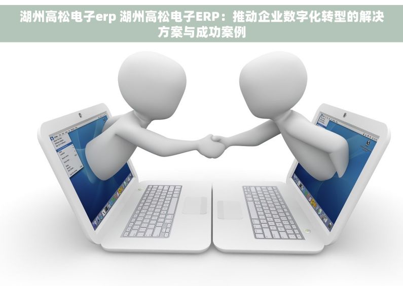 湖州高松电子erp 湖州高松电子ERP：推动企业数字化转型的解决方案与成功案例