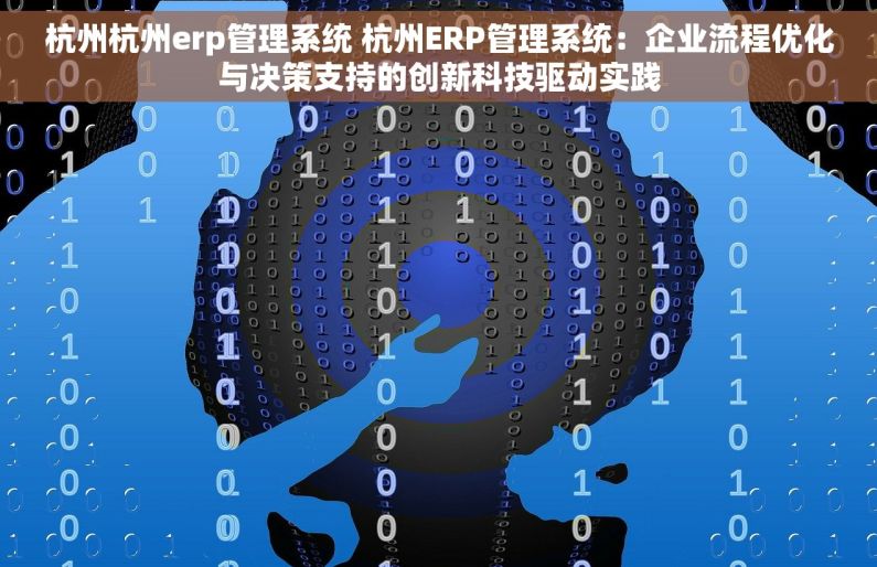 杭州杭州erp管理系统 杭州ERP管理系统：企业流程优化与决策支持的创新科技驱动实践