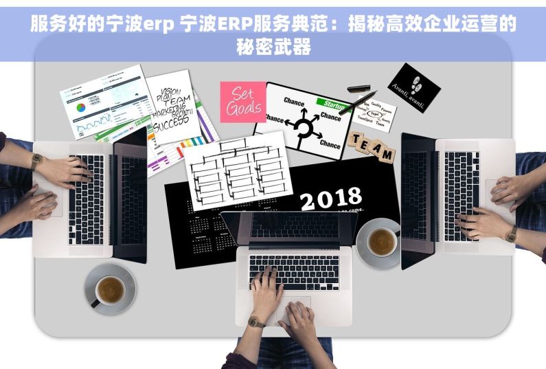 服务好的宁波erp 宁波ERP服务典范：揭秘高效企业运营的秘密武器