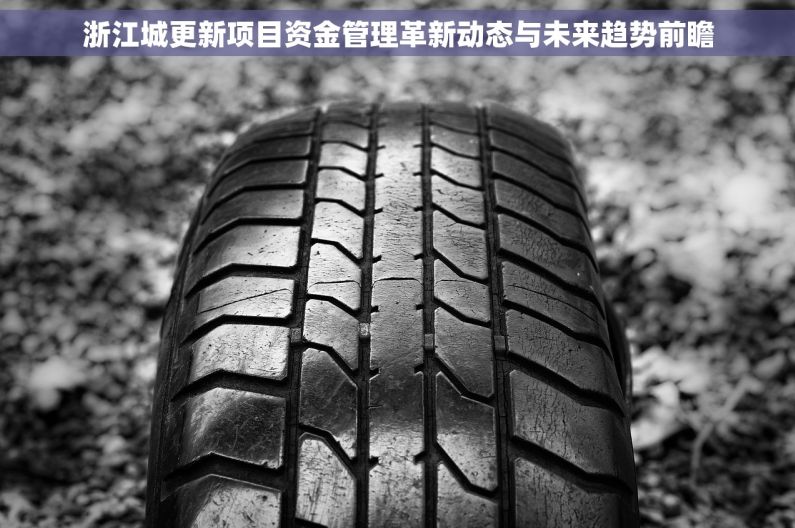 浙江城更新项目资金管理革新动态与未来趋势前瞻