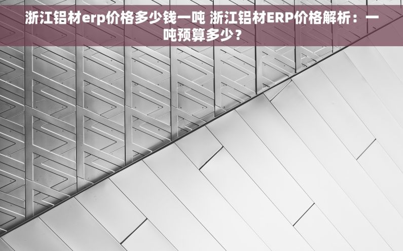 浙江铝材erp价格多少钱一吨 浙江铝材ERP价格解析：一吨预算多少？