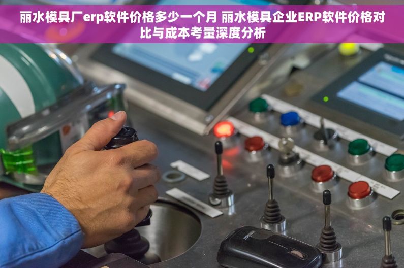 丽水模具厂erp软件价格多少一个月 丽水模具企业ERP软件价格对比与成本考量深度分析