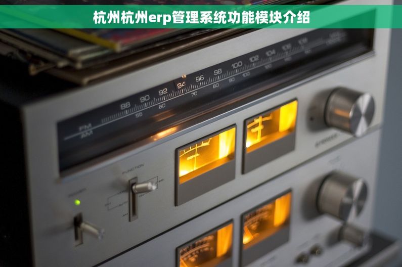 杭州杭州erp管理系统功能模块介绍