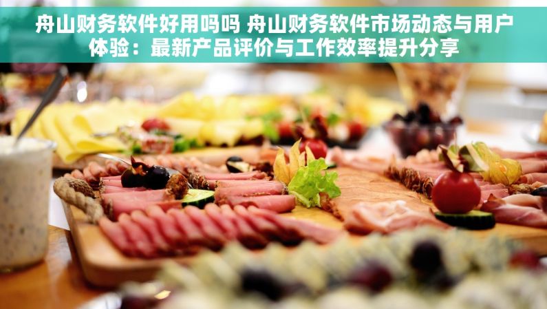 舟山财务软件好用吗吗 舟山财务软件市场动态与用户体验：最新产品评价与工作效率提升分享