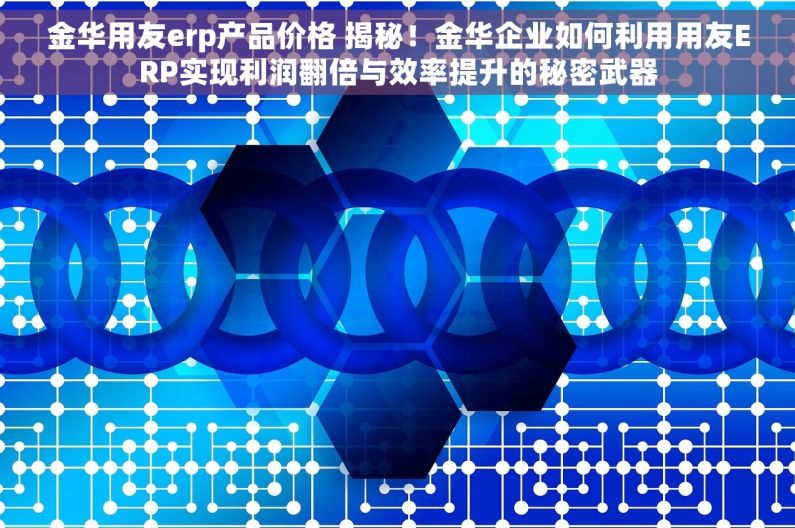 金华用友erp产品价格 揭秘！金华企业如何利用用友ERP实现利润翻倍与效率提升的秘密武器
