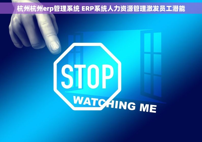 杭州杭州erp管理系统 ERP系统人力资源管理激发员工潜能
