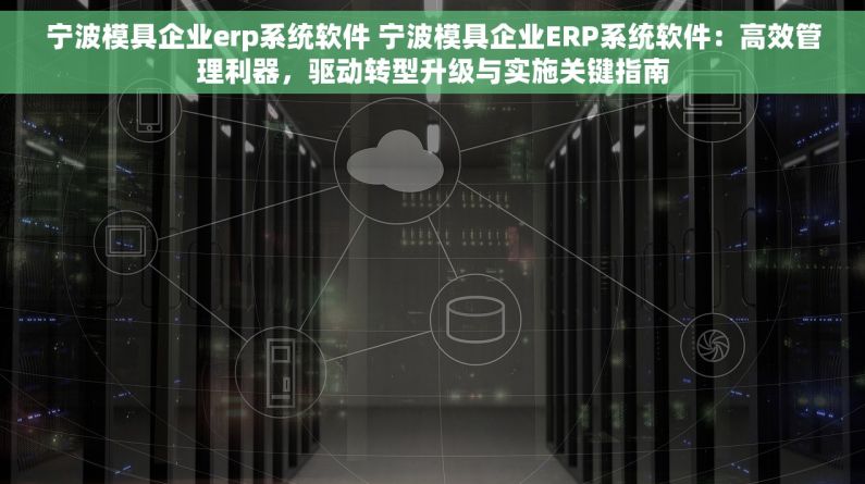 宁波模具企业erp系统软件 宁波模具企业ERP系统软件：高效管理利器，驱动转型升级与实施关键指南