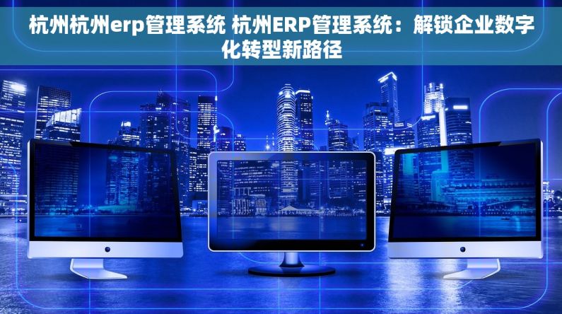 杭州杭州erp管理系统 杭州ERP管理系统：解锁企业数字化转型新路径