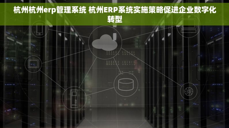 杭州杭州erp管理系统 杭州ERP系统实施策略促进企业数字化转型